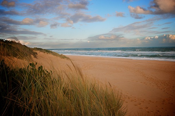 Beach sunset, Australia