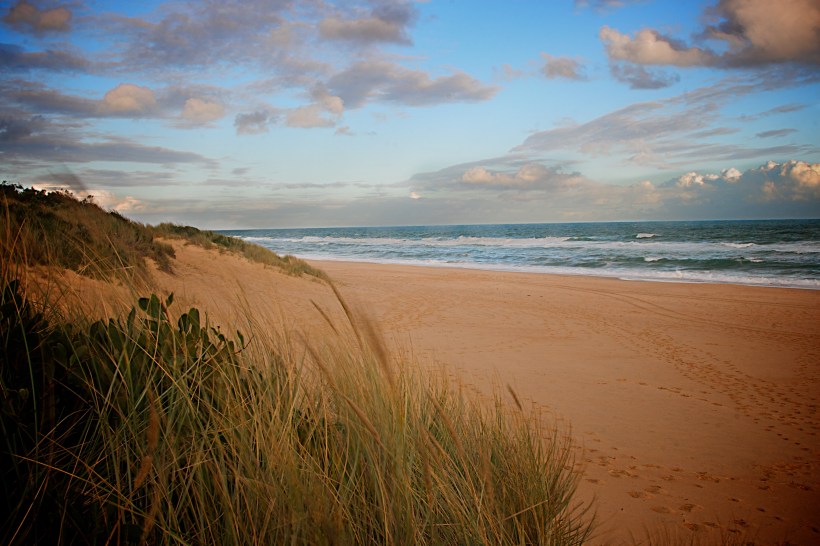 Beach sunset, Australia
